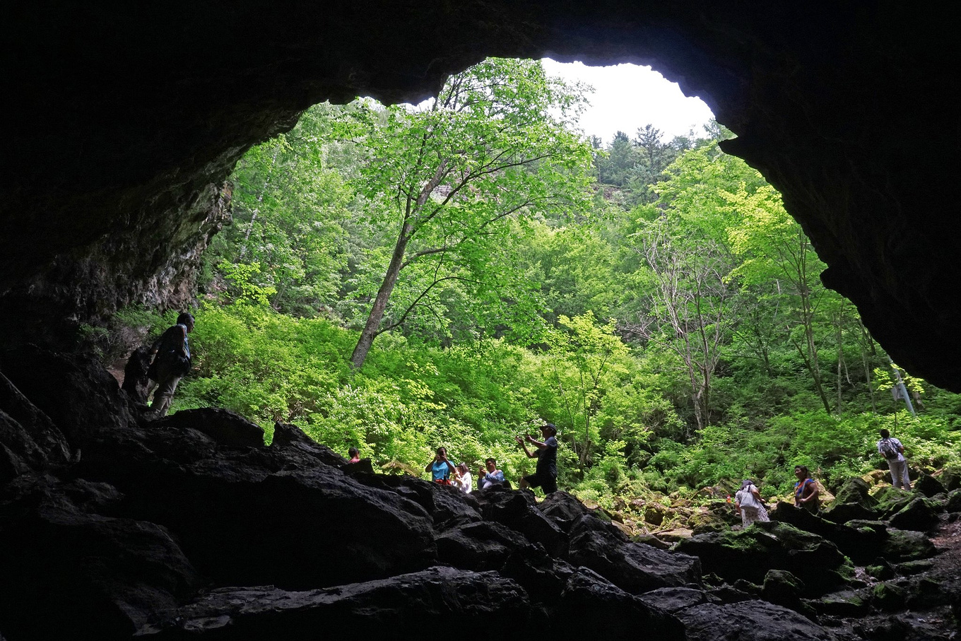 火山口的原始森林,景色壮观充满神奇,冰层上面竟然还有液态水__凤凰网