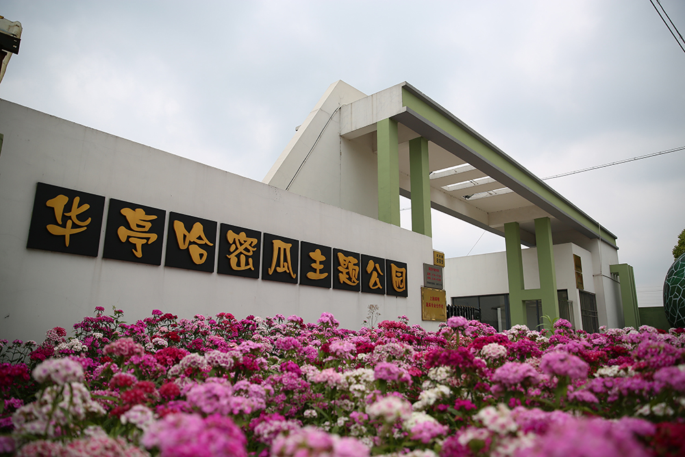 华亭哈密瓜主题公园