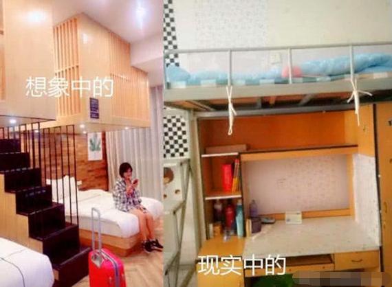 你以为的大学生活VS现实中的大学生活,网友:真实的没法看__凤凰网