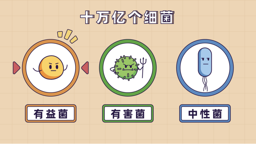 腹胀腹痛老是肚子不舒服可能是肠道菌群在作祟