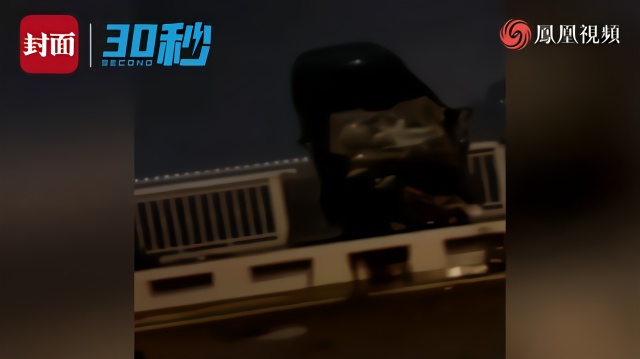 30秒丨武汉长江大桥凌晨发生车祸 已排除酒驾毒驾