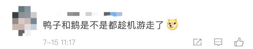 洪水中的“鸡坚强”上热搜,网友却笑不出来了…