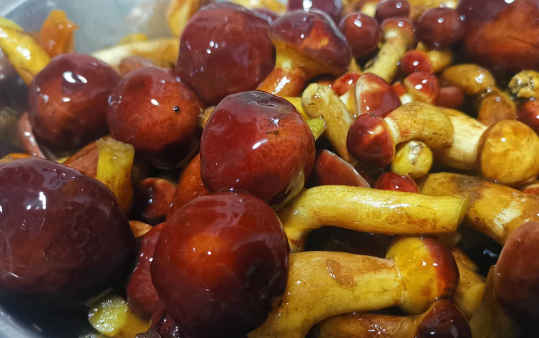 在根河,有一种美味叫"粘团子"