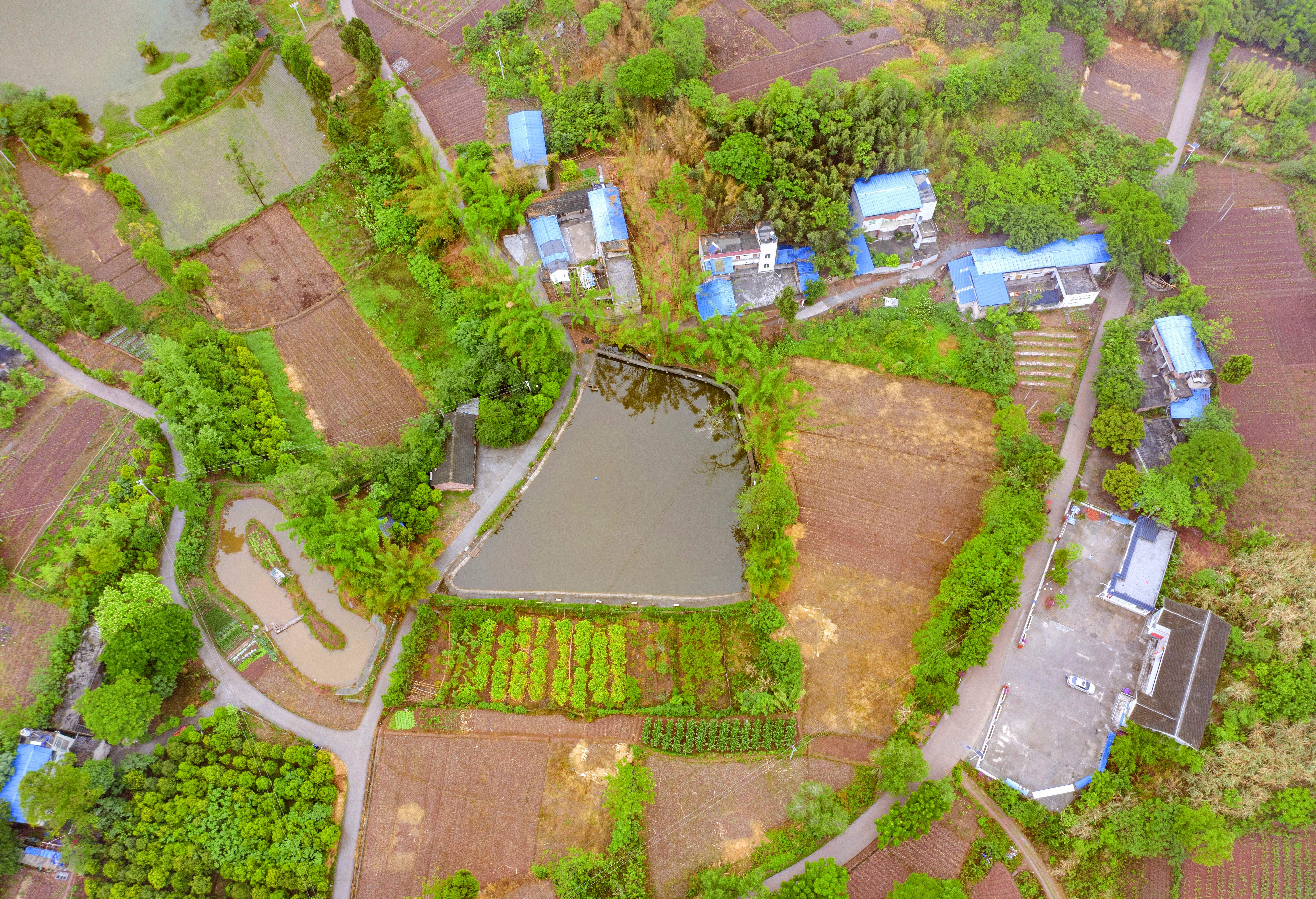 富加镇:深耕精细化管理服务