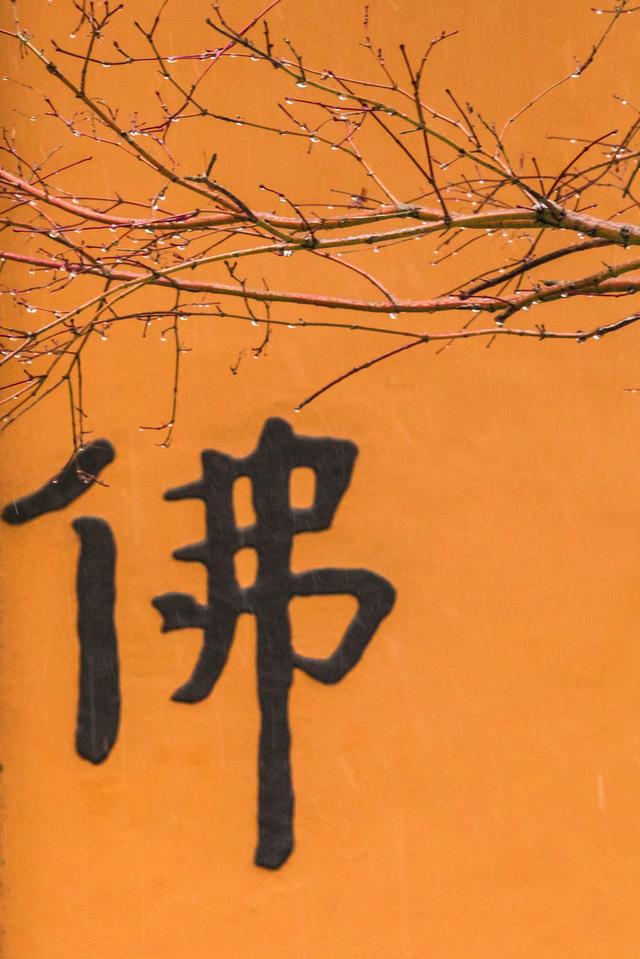 佛教有“性命双修”的法门吗?