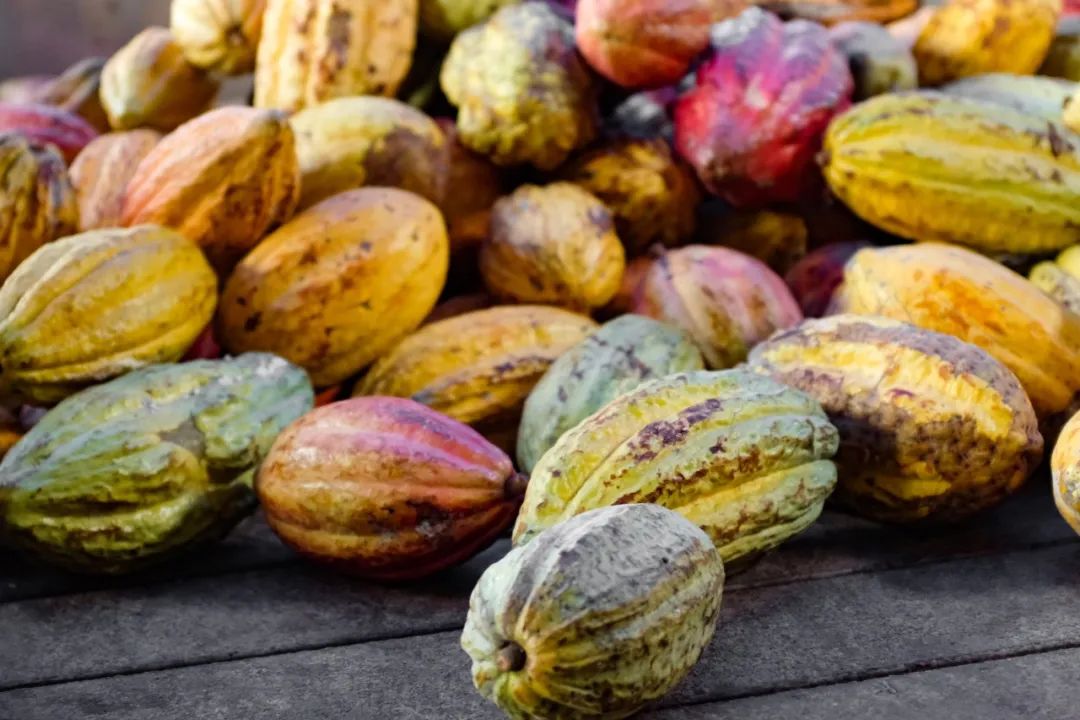 这才是优秀的巧克力以前都白长胖了