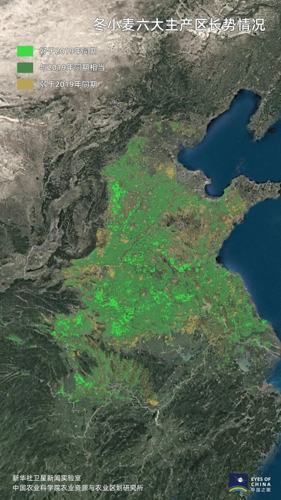 卫星发现一个信号中国耕地正在绿起来
