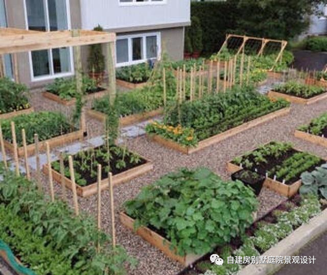 把菜园当景看,15个庭院景观菜圃,收获满满的幸福——豪宅自建房别墅