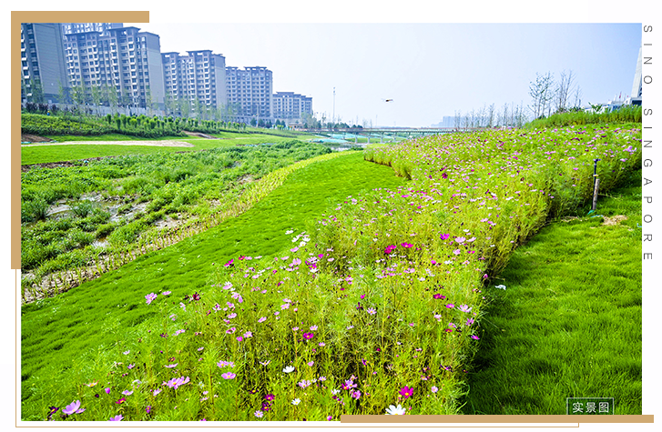 随着韩仓河景观带的不断完善,中新国际城为业主擘画的舒适,生态蓝图正