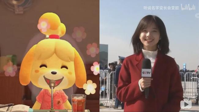 还是《动森》西施惠同款治愈系小仙女.