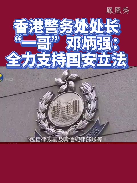 香港警务处处长,“一哥”邓炳强：全力支持国安立法