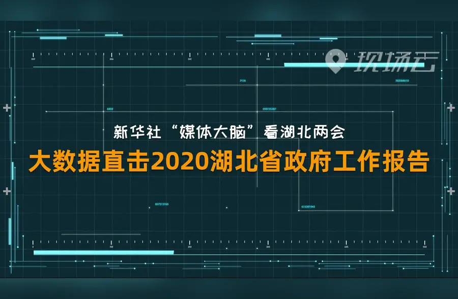 数读2020年湖北两会
