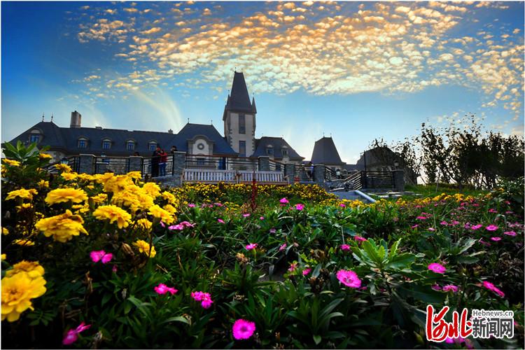 河北文安旅游唱响淀洼特色