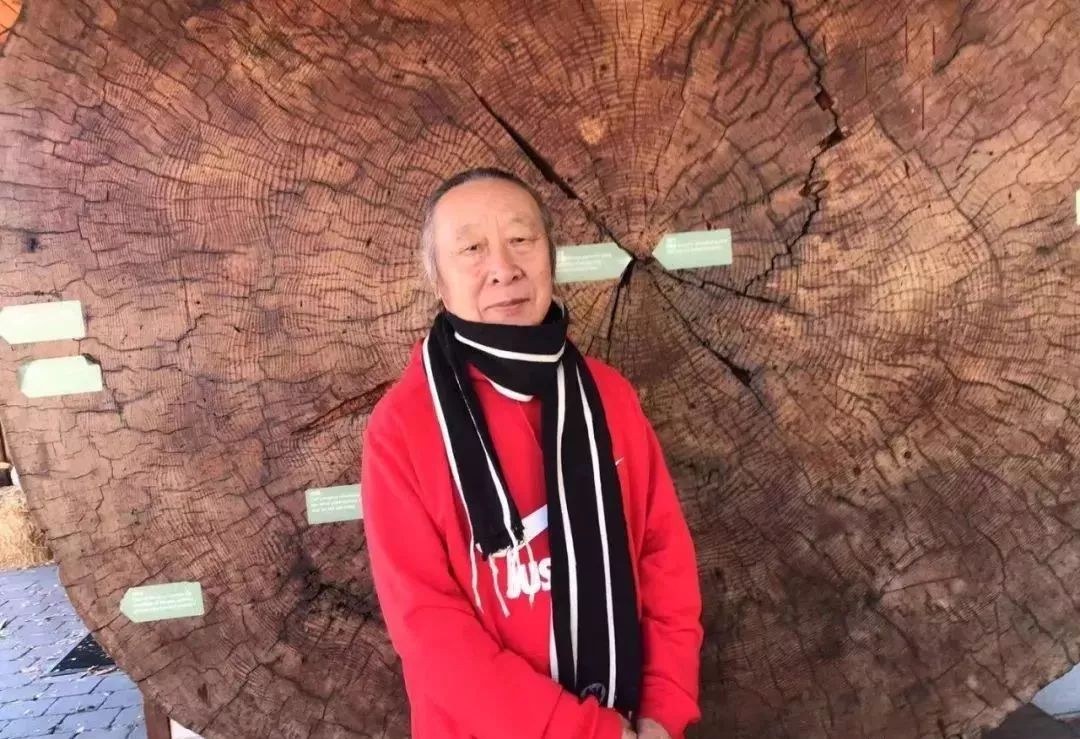 宅家的日子,一起静心和崔学路名师研修书道吧