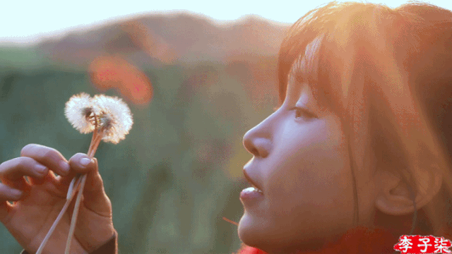 镜头,风格到发型,服饰,厨房摆设,甚至连奶奶和小狗,都抄袭了李子柒