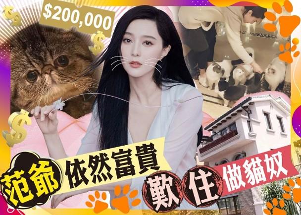 范冰冰被曝豪花30万买名贵猫，网友质疑宠物店借机炒作