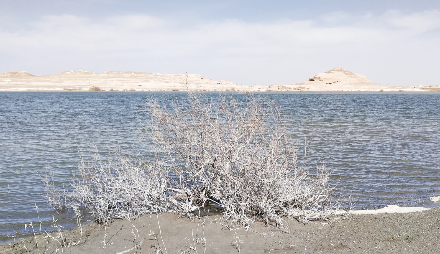 敦煌西湖又添3平方公里淡水湖 凤凰网