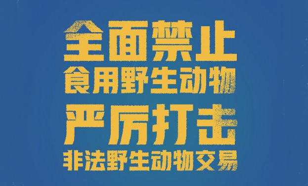 立法保护野生动物北京样本值得期待