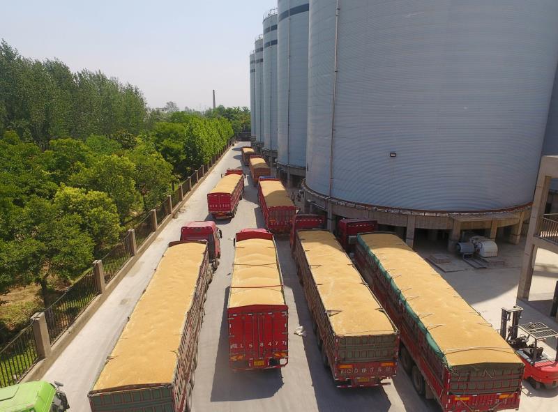 维维股份积极投身粮食产业粮库完全实现智能化管理