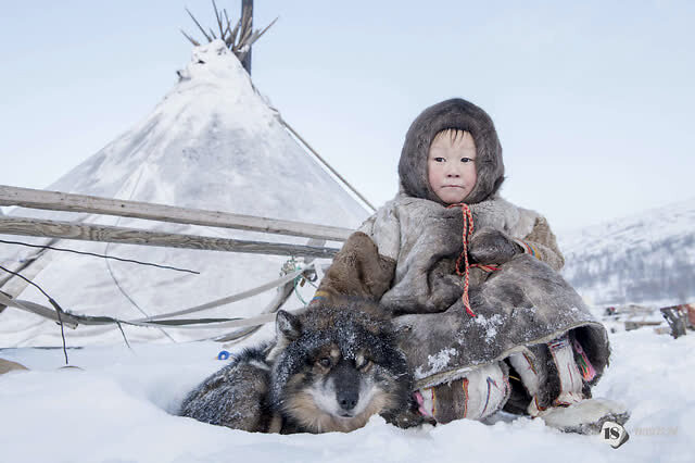叶丹蕾组照《涅涅茨人的日常》通过英国皇家摄影学会硕学会士名衔