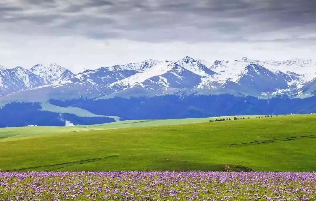 去西藏旅游最佳时间是几月？