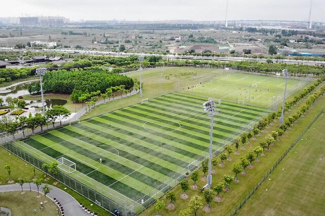 上海前滩体育公园部分区域开放满月市民预约足球场地热情高