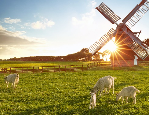 正文世界公认的黄金奶源带处于南北纬50度左右的温带草原,那里牧场