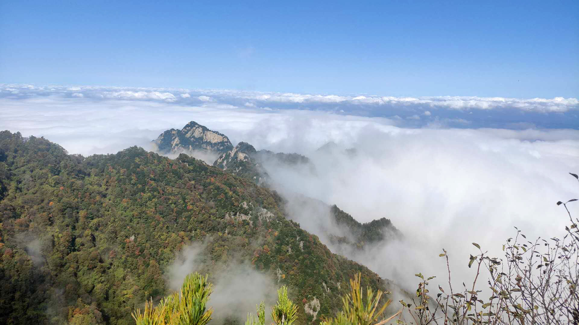 什么时候去终南山容易遇见真隐士此时终南山90的隐士不在山上