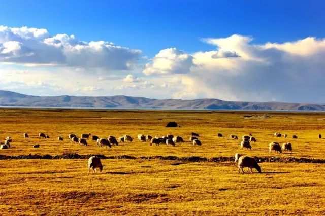 去西藏旅游最佳时间是几月？