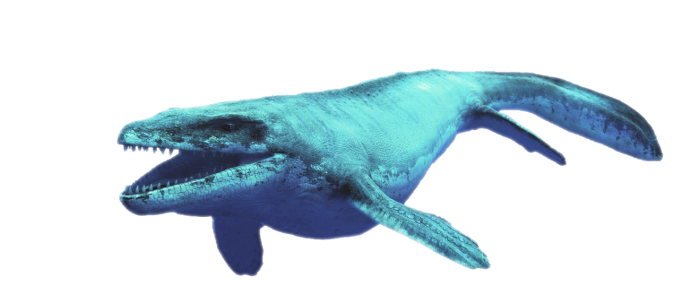 这块来自南极的奇怪"软蛋"化石,揭开了恐龙的繁殖之谜