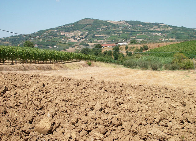 2,改良土壤结构 无机矿物质胶体一般在土壤中含量高达95%以上,对土壤