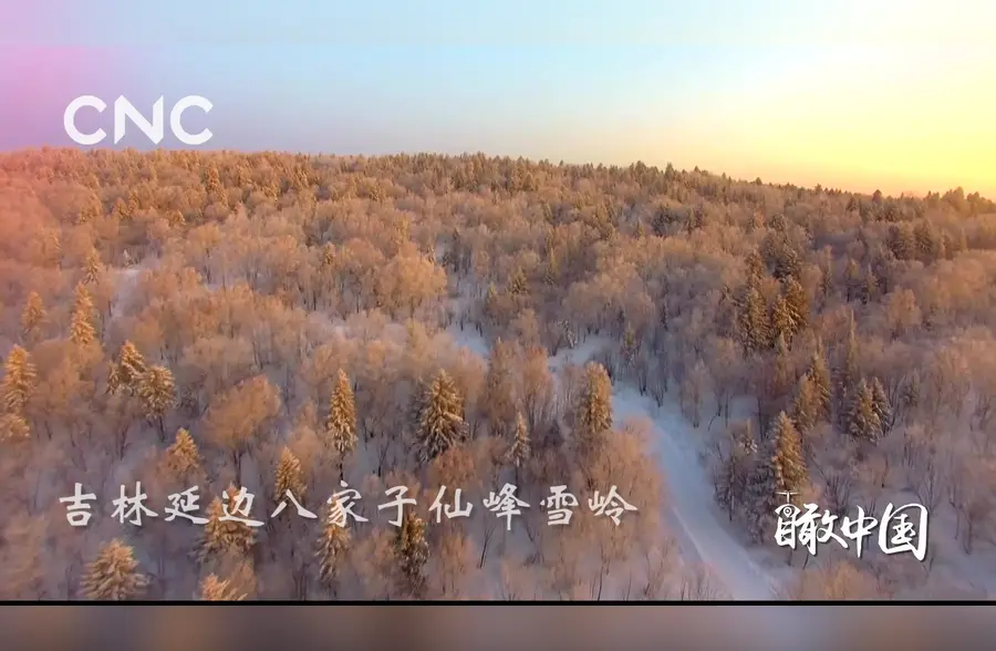 瞰中国|吉林延边森林雾凇