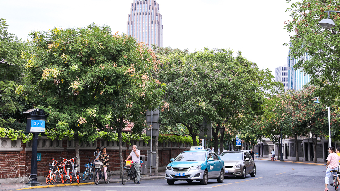 在天津五大道,别墅洋房林立,各色游客纷纷合影留念