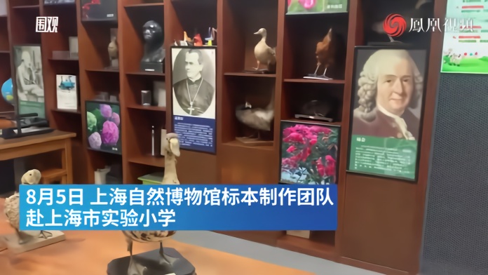 百岁老人从教时制作的标本60岁了，受梅雨威胁送博物馆修复