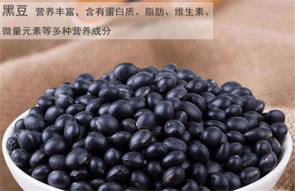 女性备孕时可以适量吃哪些食物