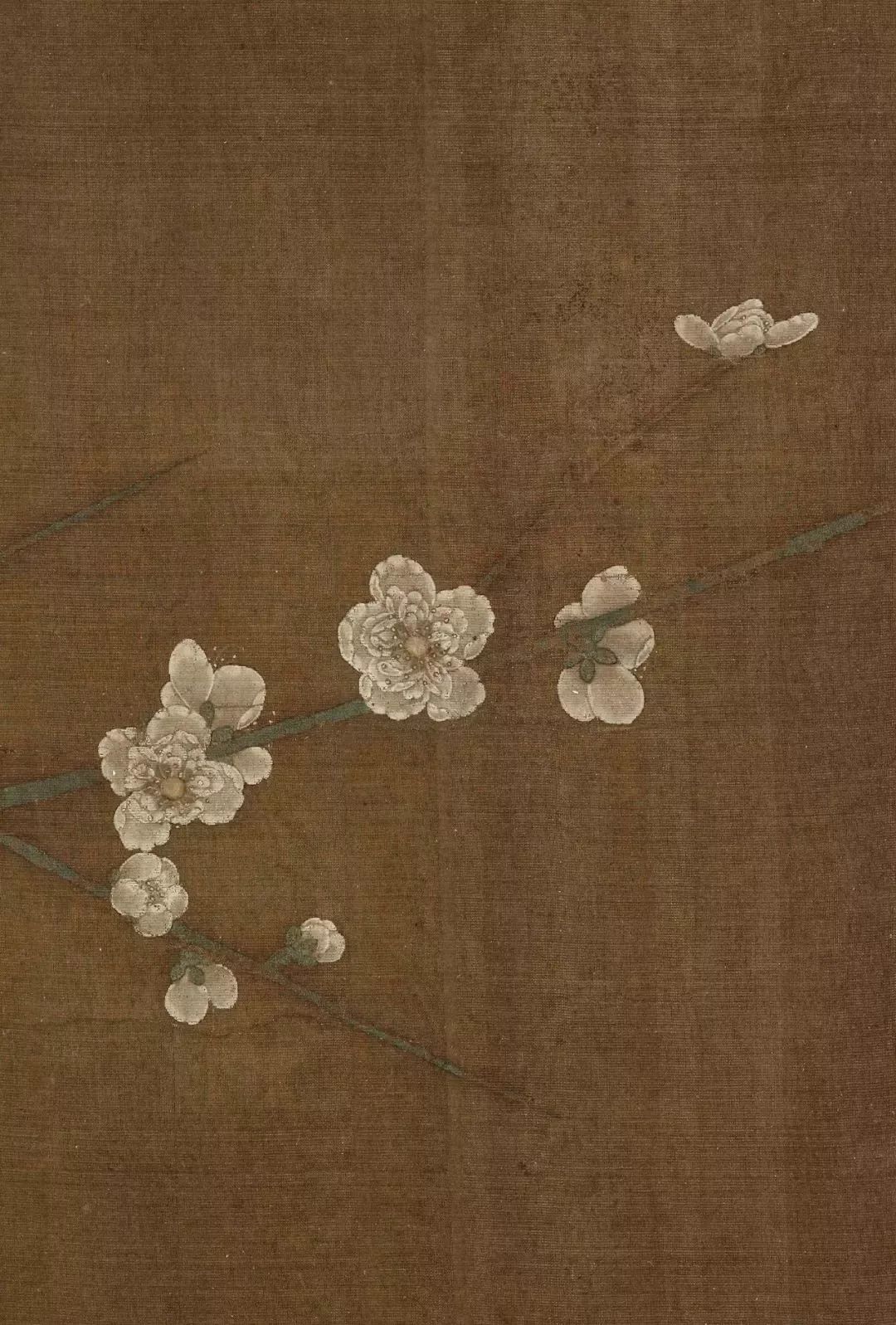 写生赵昌北宋色彩最好的花鸟画家高清