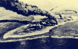 飞蛾扑火的真实视频 F1108919392E4F14D330FC9405FEECFC46BD253B_size95_w264_h166.png