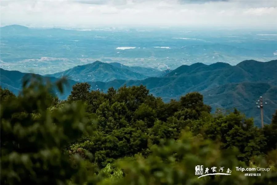 旅行攻略超燃！最近爆红的“老家河南”，get旅行家同款线路