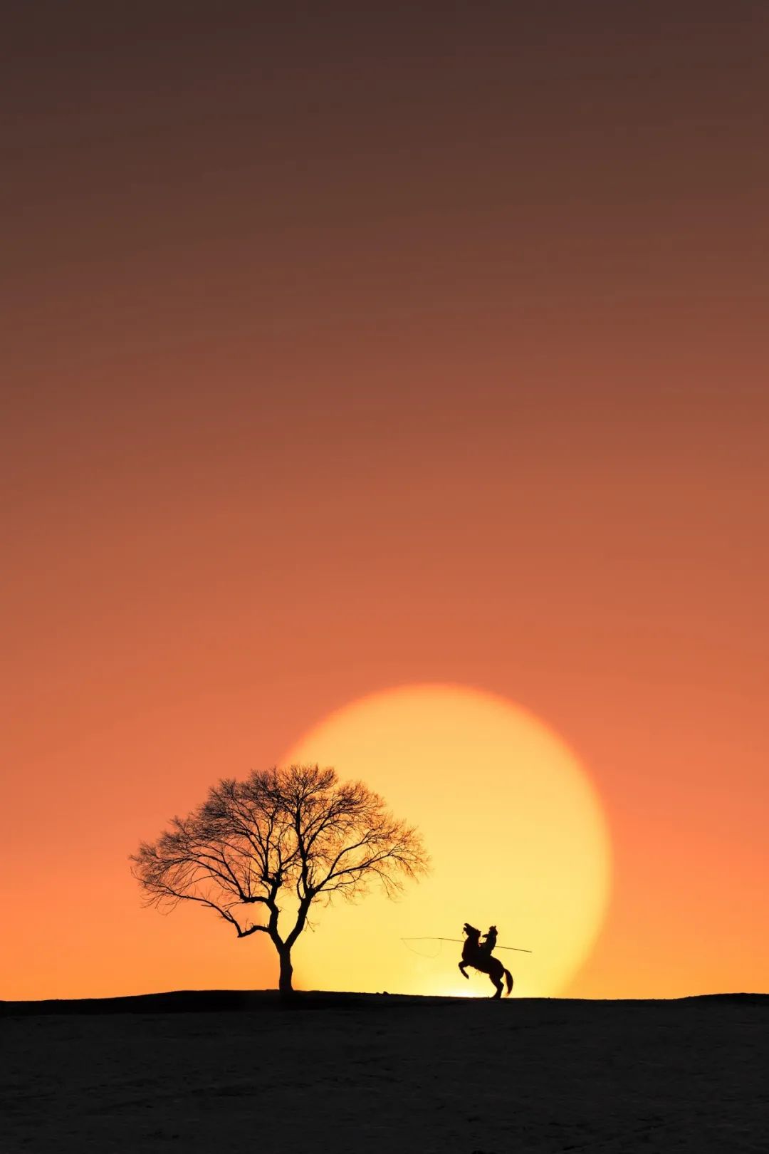 草原上升起不落的太阳.摄影/清溪