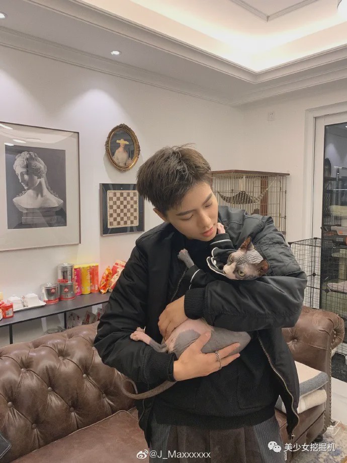 一代t王掰弯超a少女姬圈新晋颜霸cp诞生了