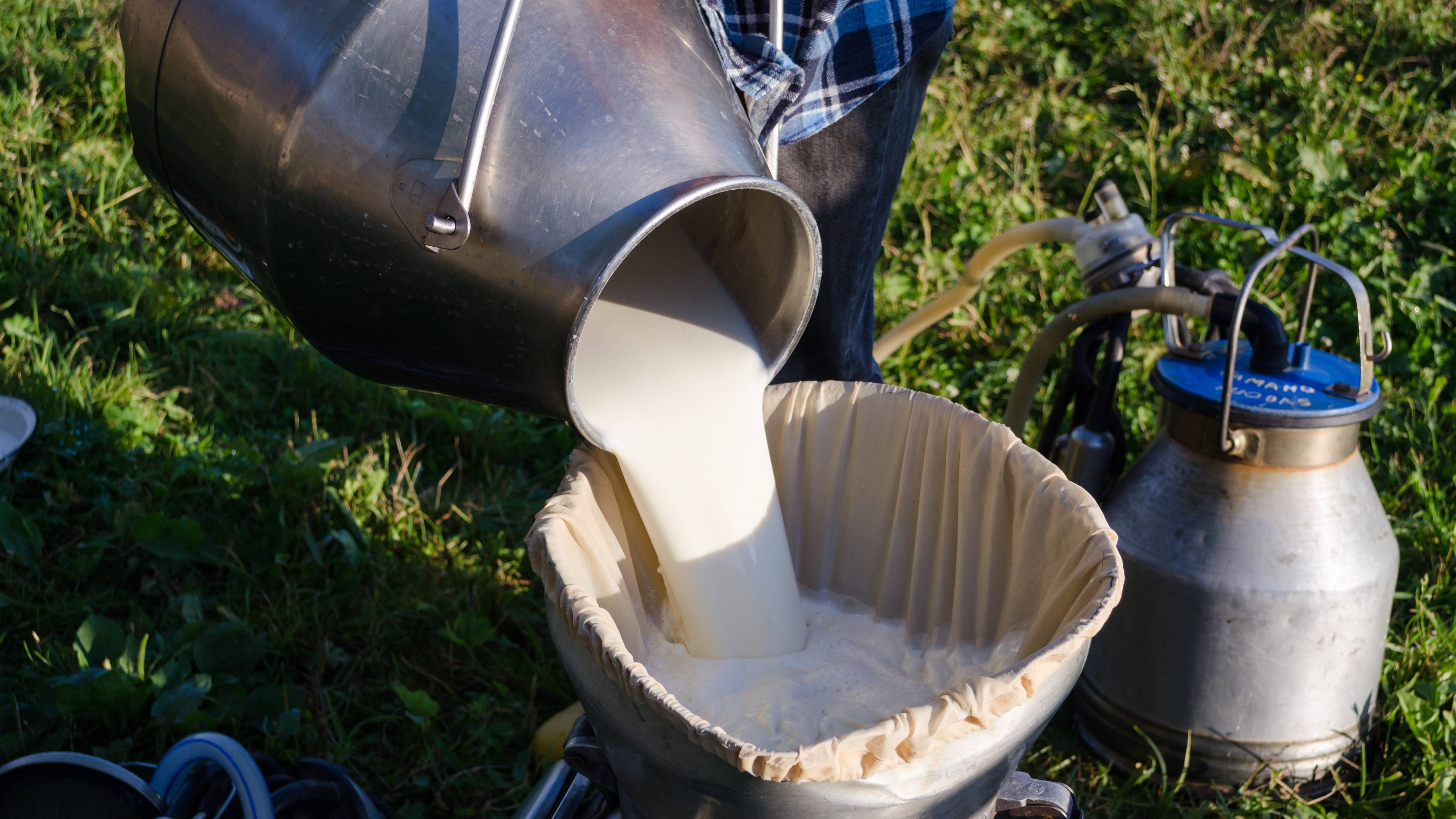 人民的老朋友光明请注意——华东市场即将迎来一场低温鲜牛奶的热战