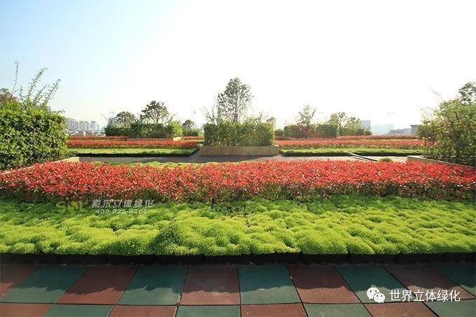 老旧小区改造中立体绿化景观提升要点