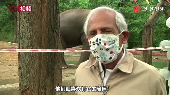 35岁大象将从巴基斯坦到柬埔寨“养老” 还有欢送会