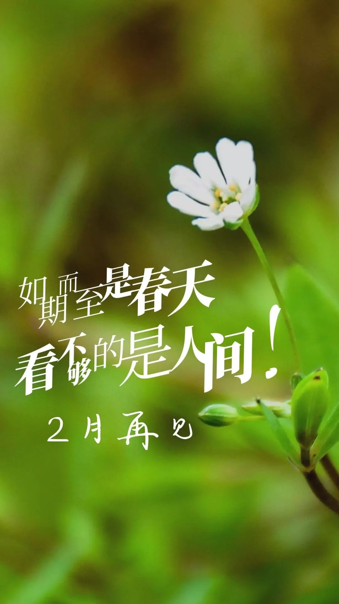 2月最后一天早安新的一天新的起点