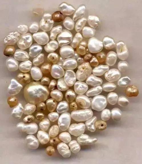 世间罕见的珍珠，可能你拿着钱都买不到！都是什么样的？