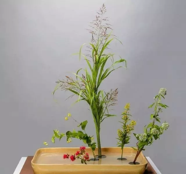 花艺插花知识分享 东方花艺神秘的一角 泰式花艺 凤凰网