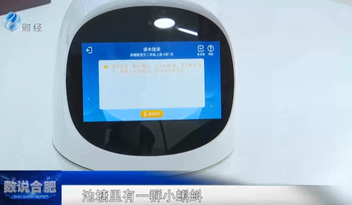 合肥电视台《数说合肥》报道淘云科技：AI+儿童背后的故事