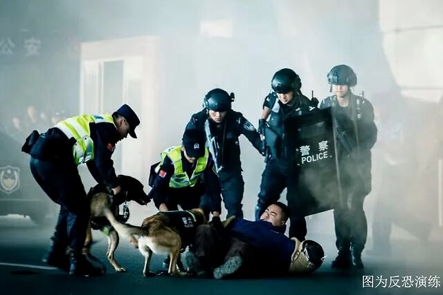 云南发布十起反恐典型案例 含2014年暴徒火车站砍杀群众案等