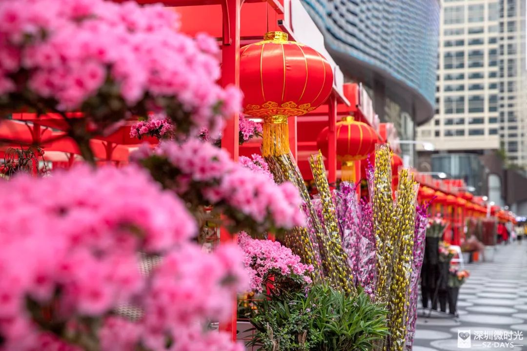 今天深圳花市来了热闹不输爱国路花开成海