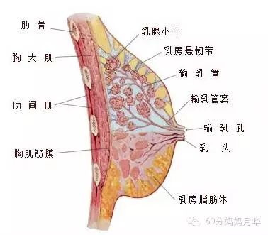 章子怡生二胎后经历的这个"酷刑",每一位妈妈几乎都遭遇过